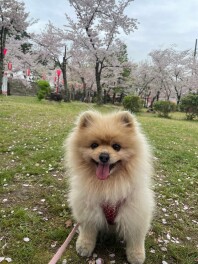 新人こばたのバタバタ日記　vol.7